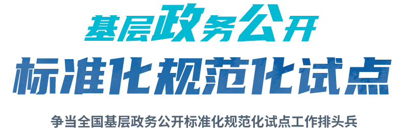 基层政务公开标准化规范化试点