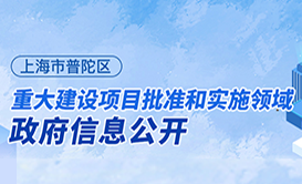 重大建设项目批准和实施领域信息公开